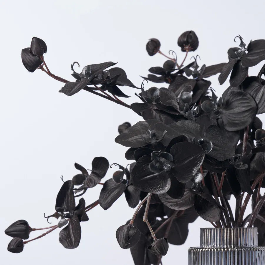 Black Magic Orchid Arrangement In Smoke Glass Chandelier Vase