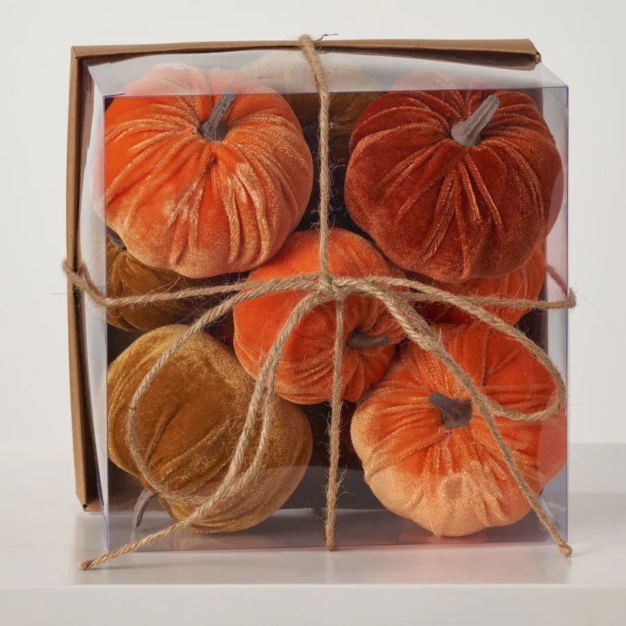 Classic Fall Harvest Mini Pumpkin Box