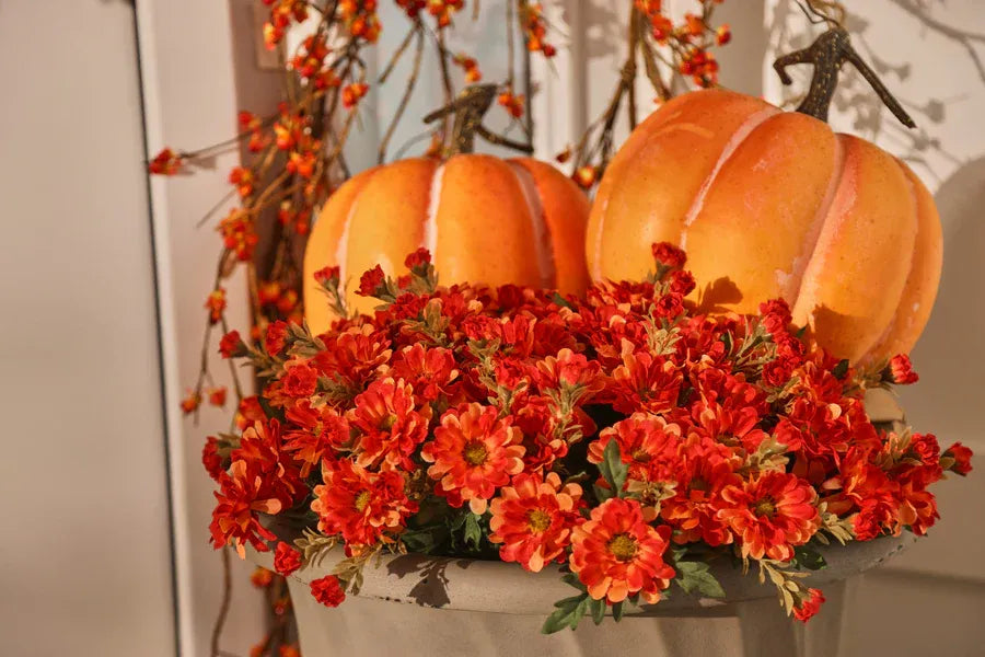 Orange Pumpkin Halloween