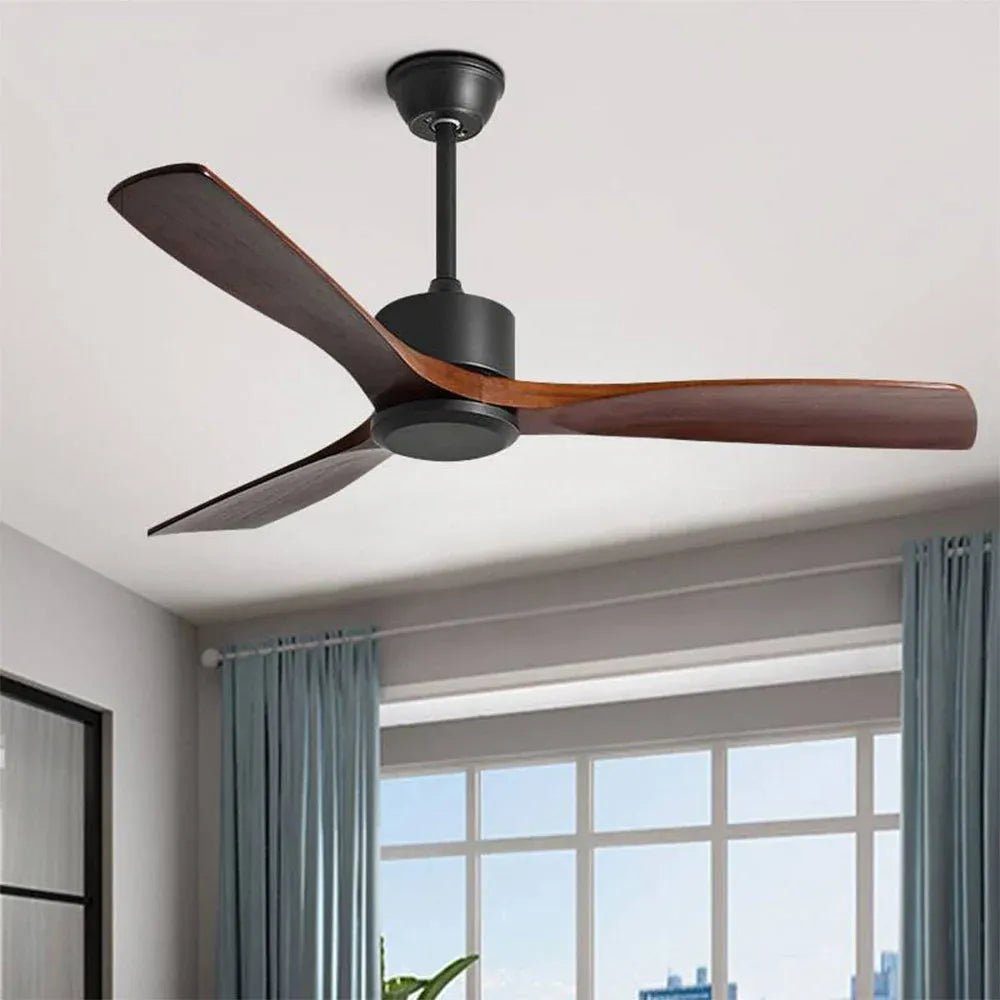 Haydn ceiling fan with lighting