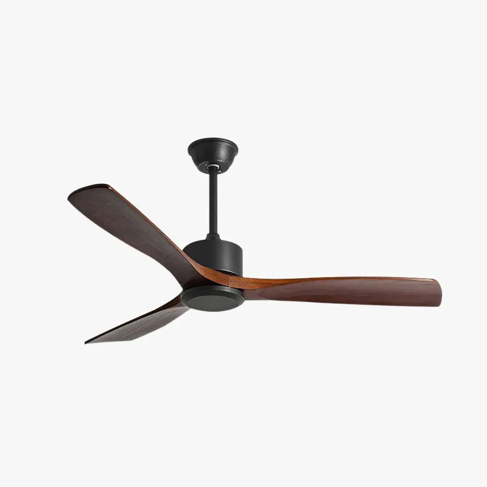 Haydn ceiling fan with lighting