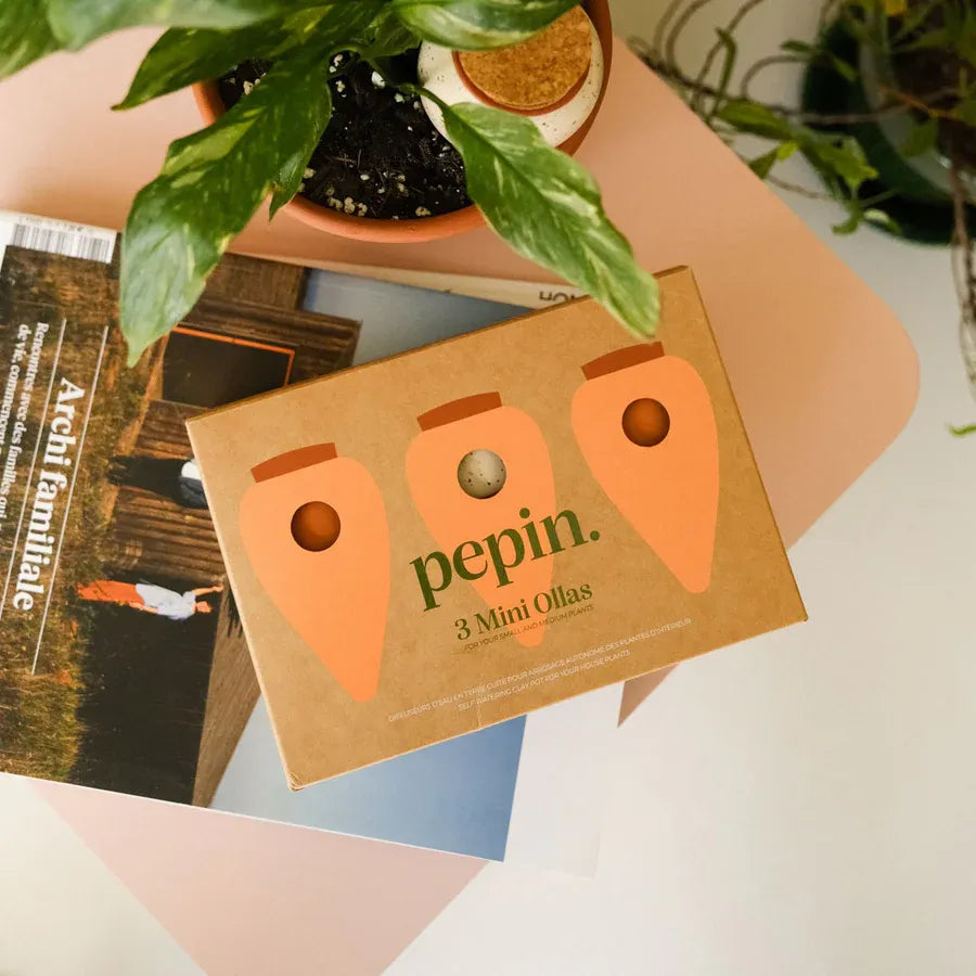 Mini Ollas Self-Watering Pots, Set of 3