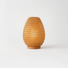 Axis Table Lamp