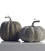 Colorful Pumpkin Set