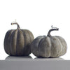 Colorful Pumpkin Set