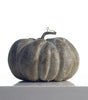 Colorful Pumpkin Set