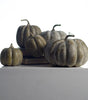 Colorful Pumpkin Set