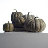 Colorful Pumpkin Set