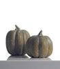 Colorful Pumpkin Set