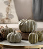 Colorful Pumpkin Set