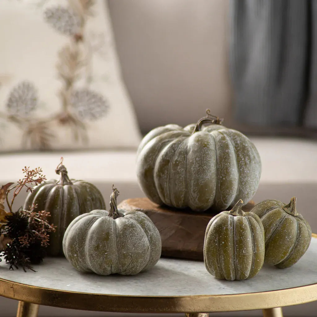 Colorful Pumpkin Set