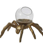 Metal & Glass Arachnid Spider Terrarium Spooky
