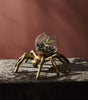 Metal & Glass Arachnid Spider Terrarium Spooky