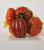 Rust Orange Pumpkin- Set of 8