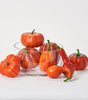 Rust Orange Pumpkin- Set of 8