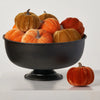 Classic Fall Harvest Mini Pumpkin Box