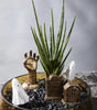 Haunted Boneyard Charcuterie Accessory Figurines