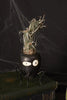Wicked Cute Ceramic Spider Halloween Budvase Decor