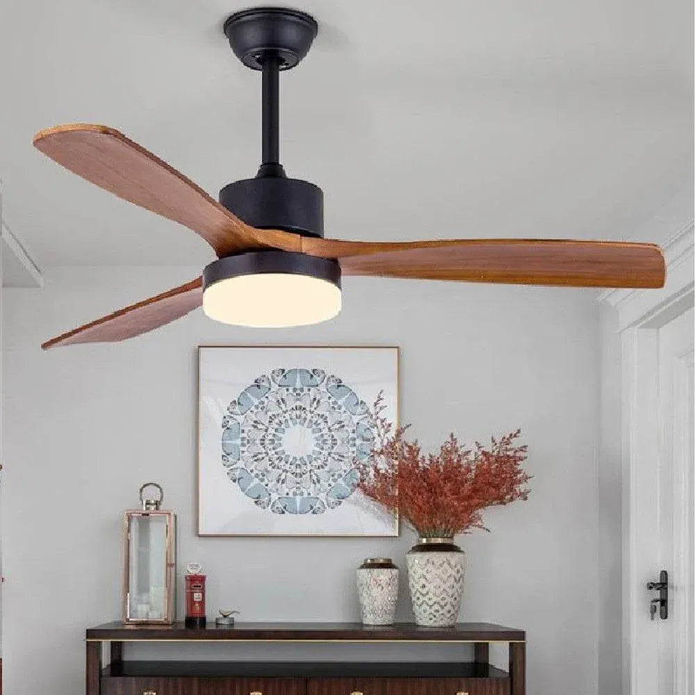 Haydn ceiling fan with lighting