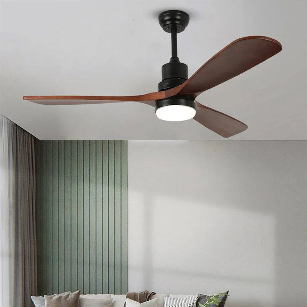 Haydn ceiling fan with lighting