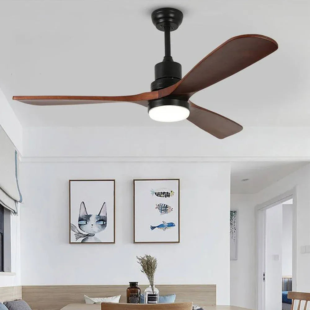Haydn ceiling fan with lighting