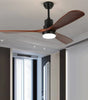 Haydn ceiling fan with lighting