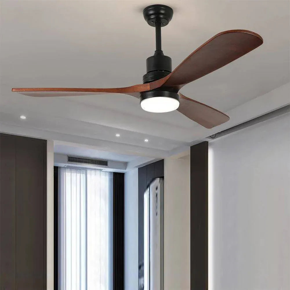 Haydn ceiling fan with lighting