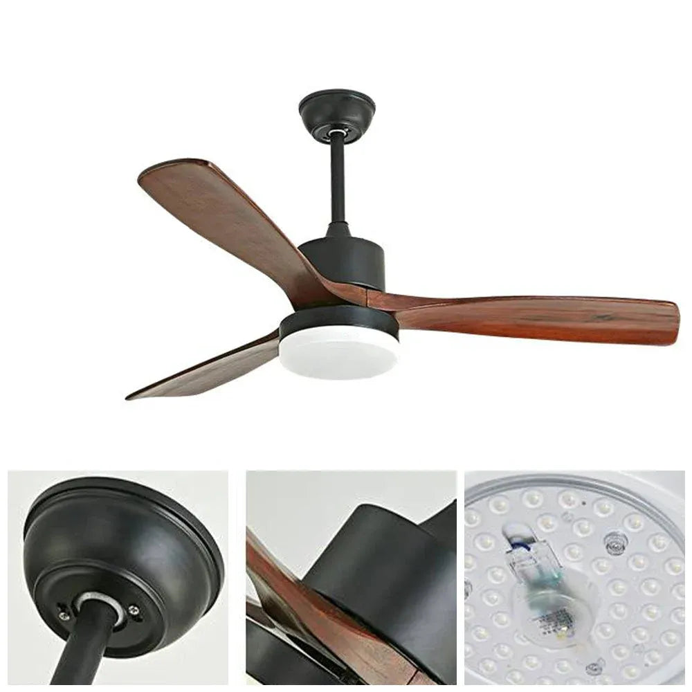 Haydn ceiling fan with lighting