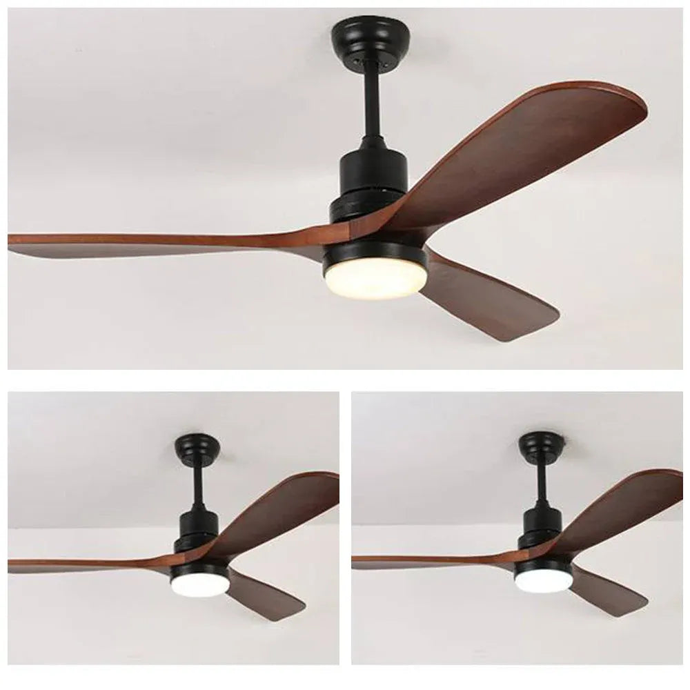 Haydn ceiling fan with lighting