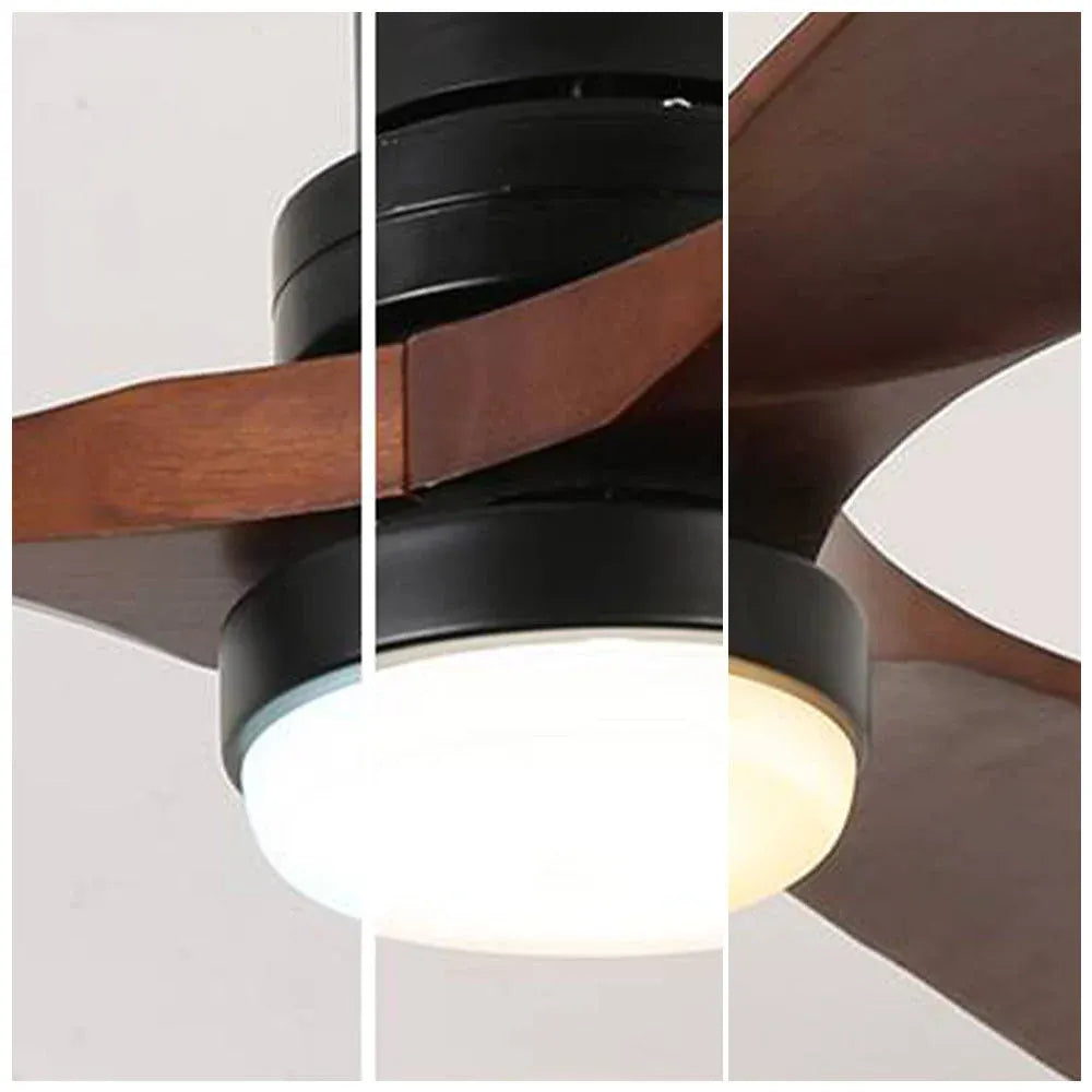 Haydn ceiling fan with lighting