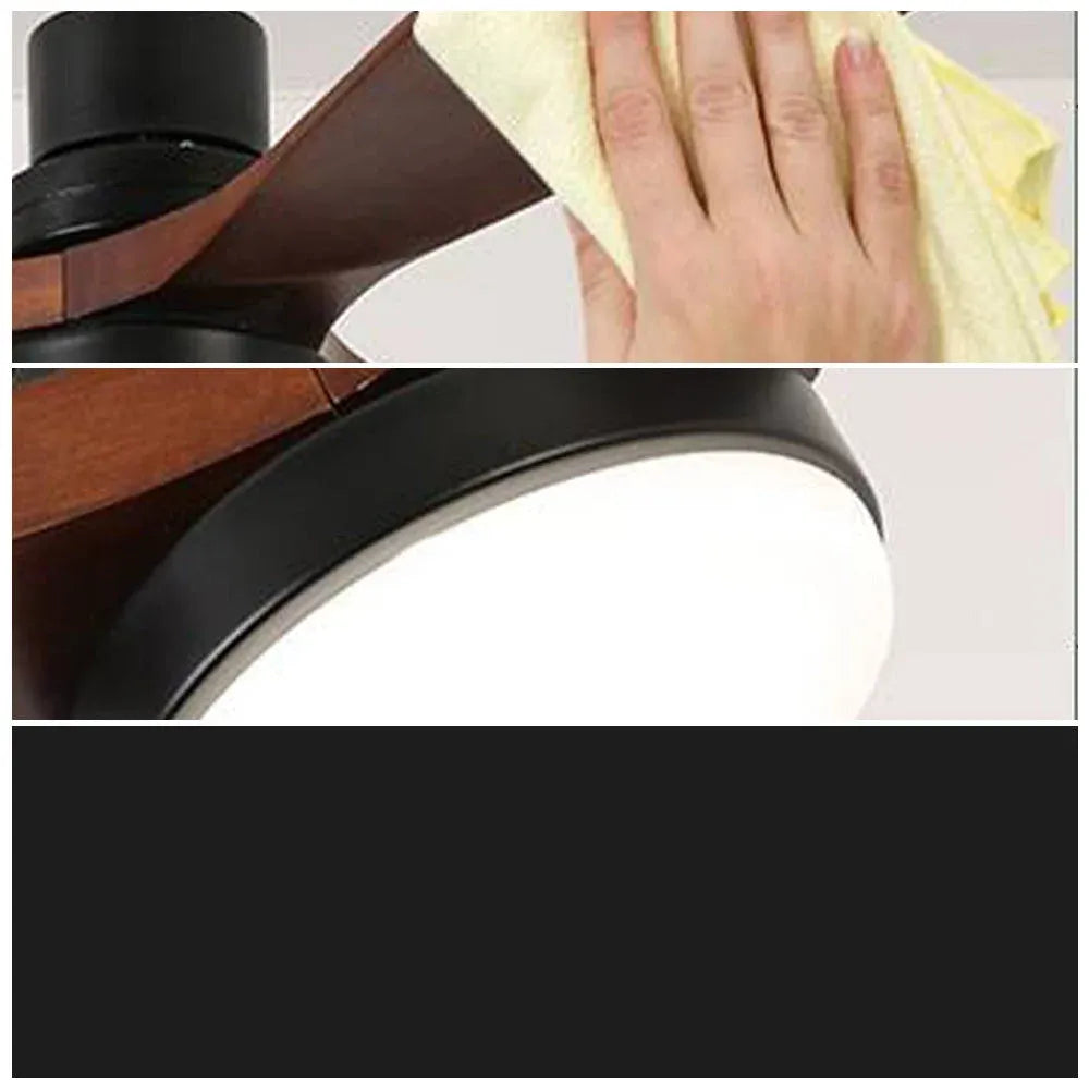 Haydn ceiling fan with lighting