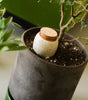 Mini Ollas Self-Watering Pots, Set of 3