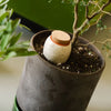 Mini Ollas Self-Watering Pots, Set of 3
