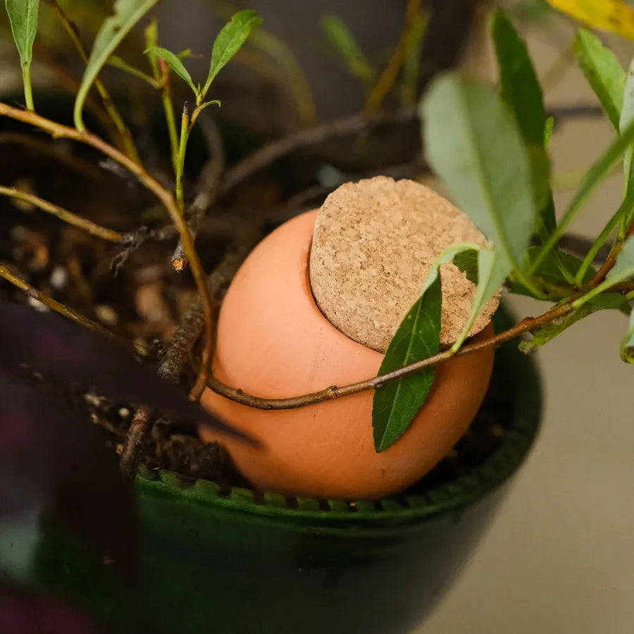 Mini Ollas Self-Watering Pots, Set of 3