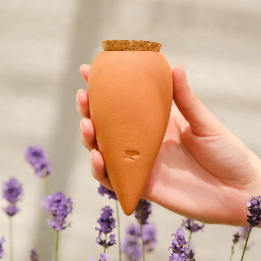 Mini Ollas Self-Watering Pots, Set of 3