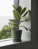 Plant pot with saucer