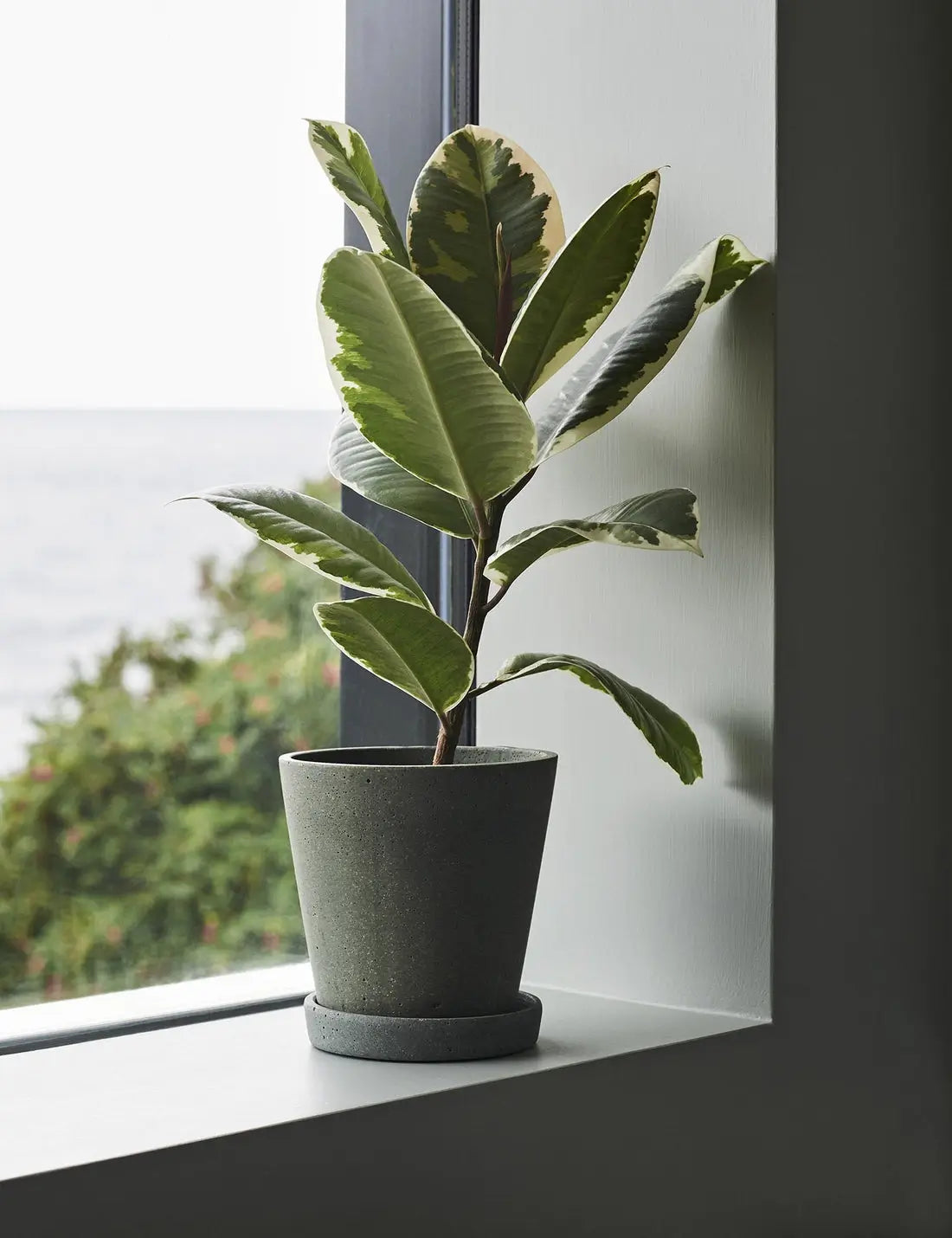 Plant pot with saucer