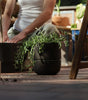The Planter