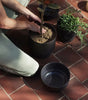 The Planter