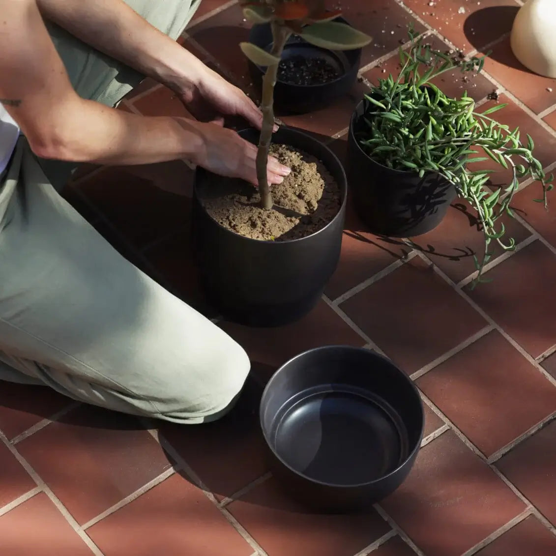 The Planter